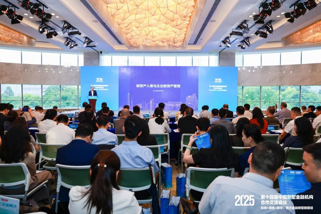 共探地方金融转型新路径 第十四届中国新型金融机构相助交流聚会在沪举行-尊龙凯时