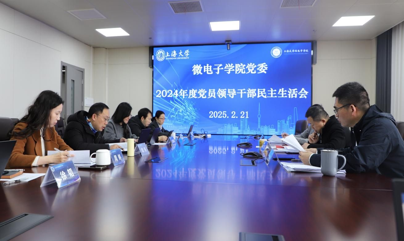 微电子学院党委召开2024年度党员向导干部民主生涯会-尊龙凯时