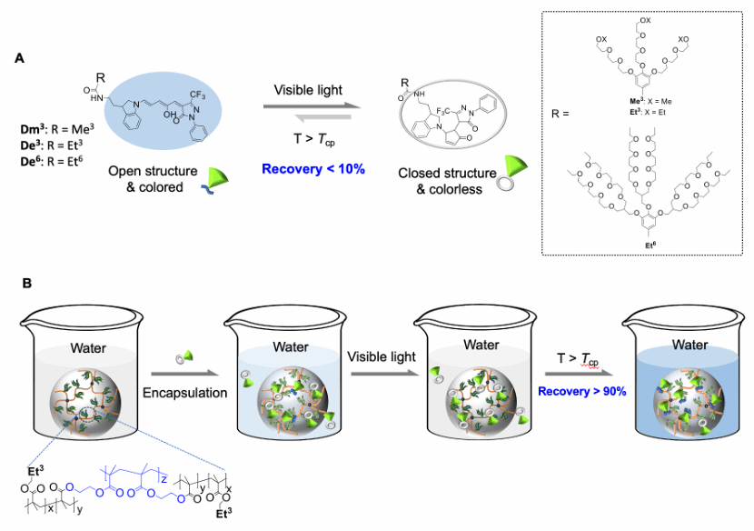 质料学院李文/张阿方教授团队在《Chemical Engineering Journal》上揭晓最新效果-尊龙凯时