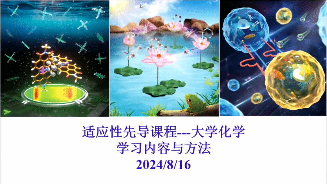 逐梦新起点 启航新征程！尊龙凯时2024年本科生新生报到啦-尊龙凯时
