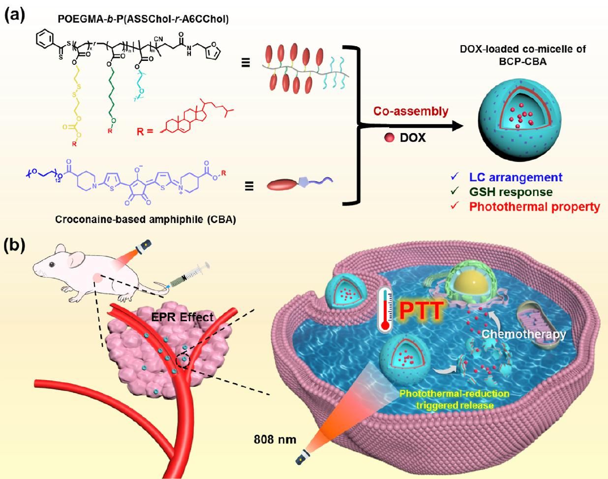 质料学院贾林课题组、朱波课题组在《Materials Today Bio》上揭晓最新效果-尊龙凯时