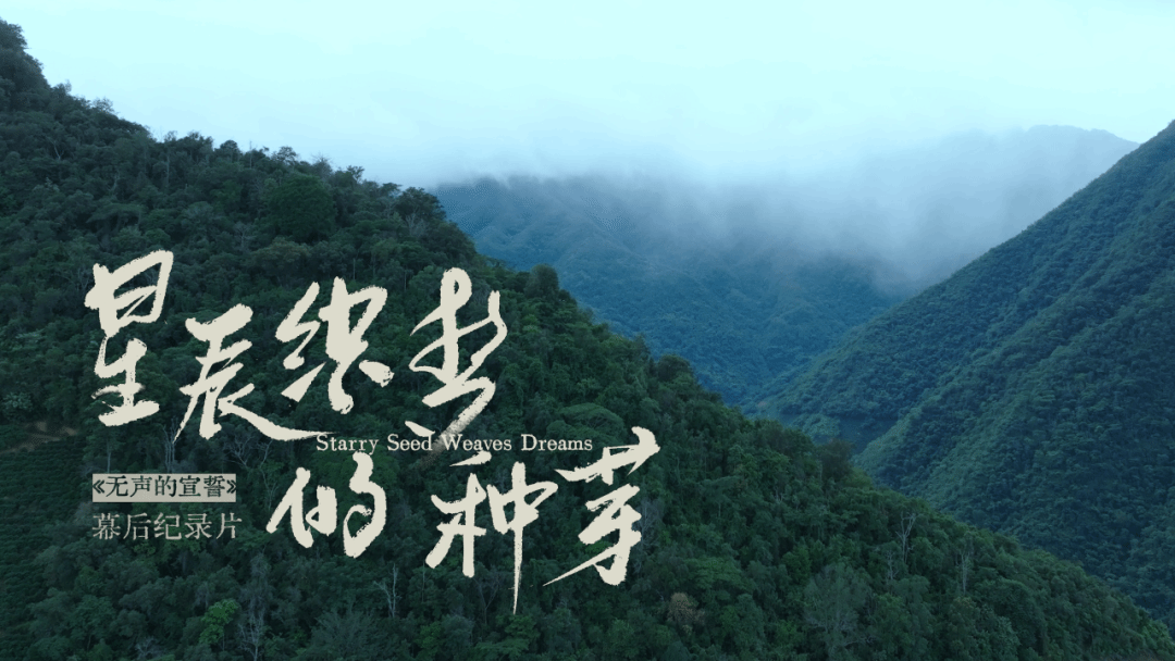 原创短片影戏《无声的宣誓》荣获三大奖项-尊龙凯时