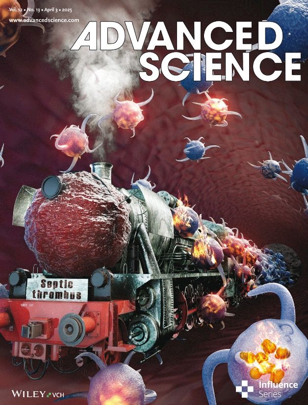 医学院游兴姬副教授团队在综合性TOP期刊《Advanced Science》揭晓研究论文-尊龙凯时